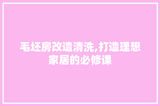 毛坯房改造清洗,打造理想家居的必修课 装修材料