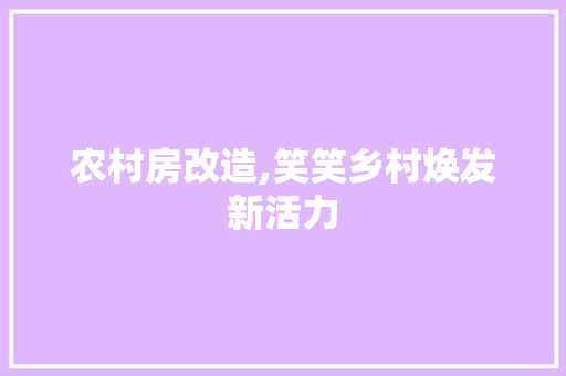 农村房改造,笑笑乡村焕发新活力