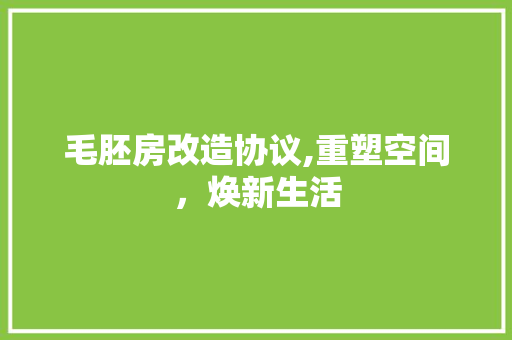 毛胚房改造协议,重塑空间，焕新生活