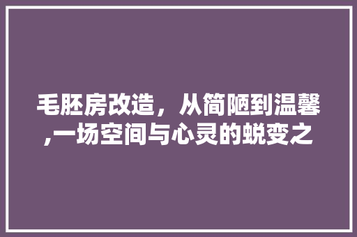 毛胚房改造，从简陋到温馨,一场空间与心灵的蜕变之旅 门窗装修