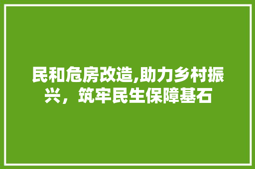 民和危房改造,助力乡村振兴，筑牢民生保障基石