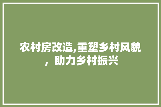 农村房改造,重塑乡村风貌，助力乡村振兴