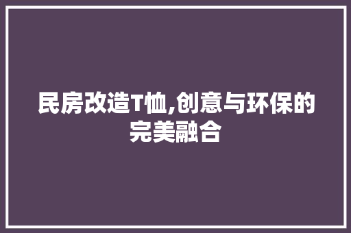 民房改造T恤,创意与环保的完美融合 墙面装饰