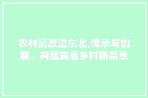 农村房改造东北,传承与创新，构建美丽乡村新篇章