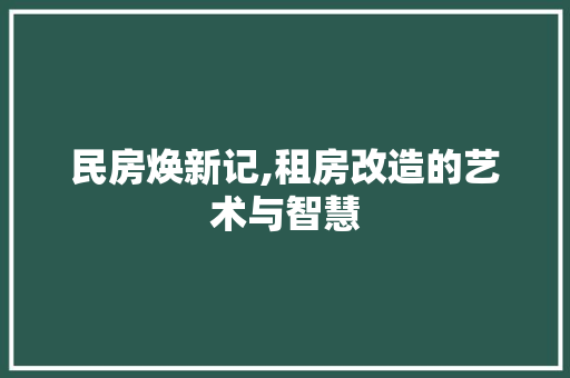 民房焕新记,租房改造的艺术与智慧