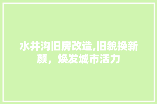 水井沟旧房改造,旧貌换新颜，焕发城市活力 建筑设计