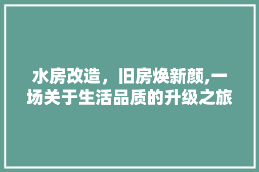 水房改造，旧房焕新颜,一场关于生活品质的升级之旅