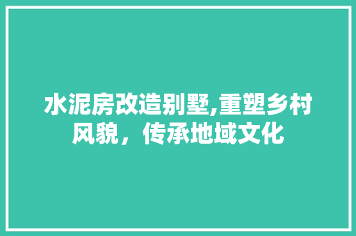 水泥房改造别墅,重塑乡村风貌，传承地域文化 装修攻略