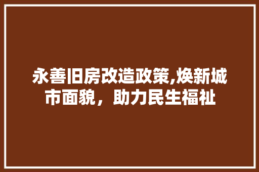 永善旧房改造政策,焕新城市面貌，助力民生福祉 门窗装修
