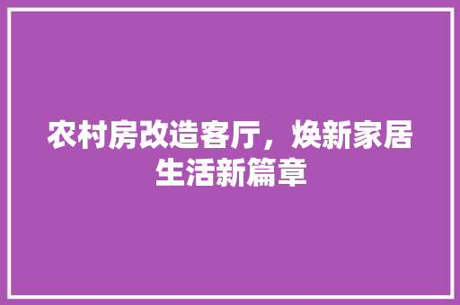 农村房改造客厅，焕新家居生活新篇章