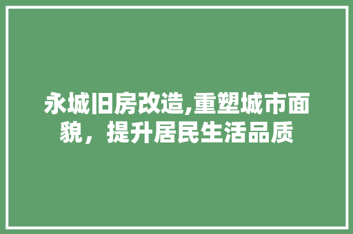 永城旧房改造,重塑城市面貌，提升居民生活品质 隔断设计