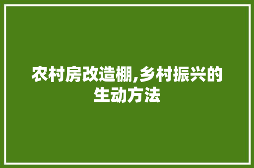 农村房改造棚,乡村振兴的生动方法