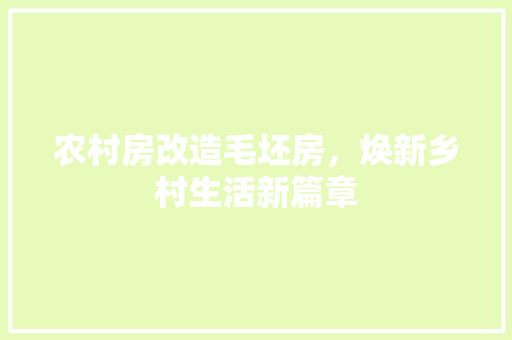 农村房改造毛坯房，焕新乡村生活新篇章