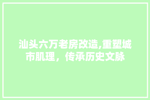 汕头六万老房改造,重塑城市肌理，传承历史文脉