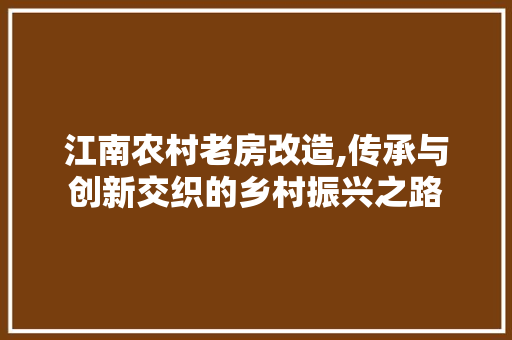 江南农村老房改造,传承与创新交织的乡村振兴之路