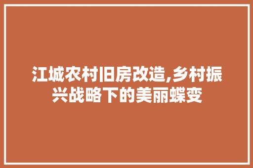 江城农村旧房改造,乡村振兴战略下的美丽蝶变