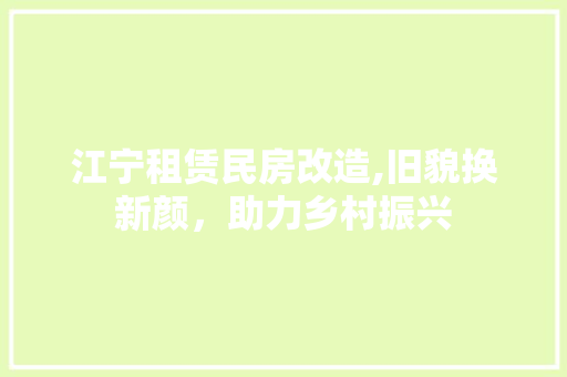 江宁租赁民房改造,旧貌换新颜，助力乡村振兴