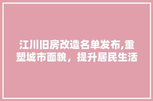 江川旧房改造名单发布,重塑城市面貌，提升居民生活品质