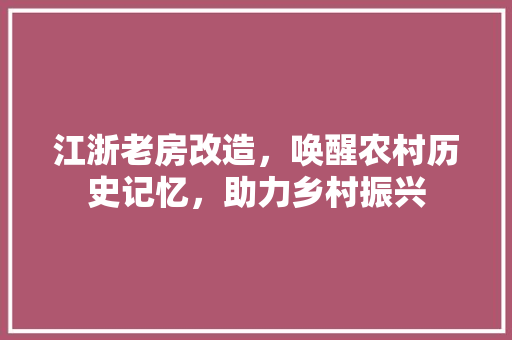 江浙老房改造，唤醒农村历史记忆，助力乡村振兴