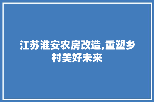 江苏淮安农房改造,重塑乡村美好未来 地面装修