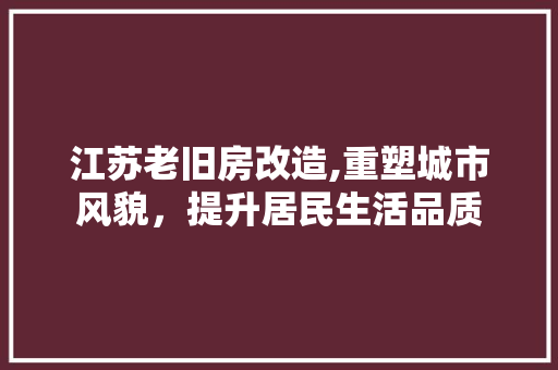江苏老旧房改造,重塑城市风貌，提升居民生活品质 庭院装修