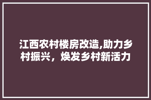 江西农村楼房改造,助力乡村振兴，焕发乡村新活力 装修材料