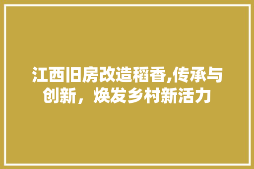 江西旧房改造稻香,传承与创新，焕发乡村新活力
