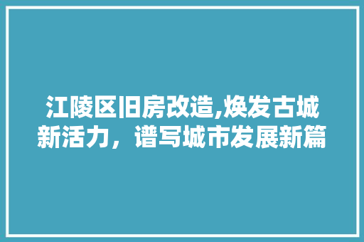 江陵区旧房改造,焕发古城新活力，谱写城市发展新篇章