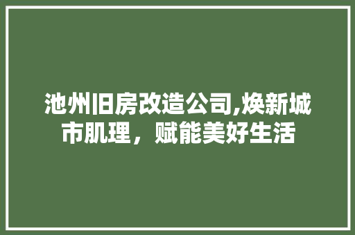 池州旧房改造公司,焕新城市肌理，赋能美好生活