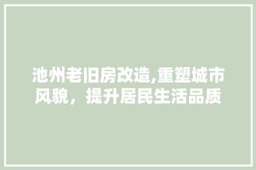 池州老旧房改造,重塑城市风貌，提升居民生活品质 建筑设计