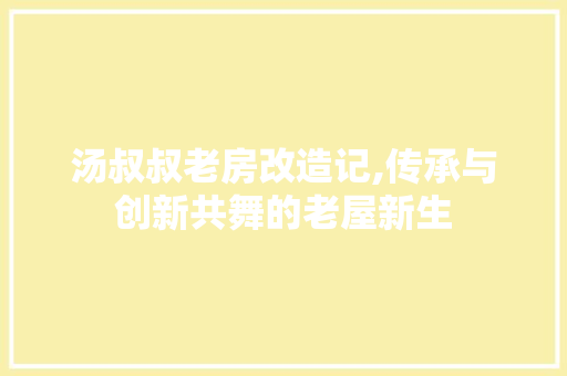 汤叔叔老房改造记,传承与创新共舞的老屋新生
