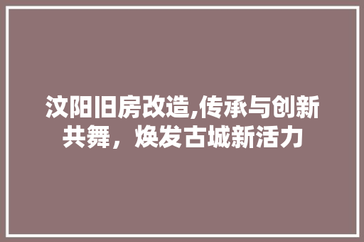 汶阳旧房改造,传承与创新共舞，焕发古城新活力