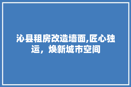 沁县租房改造墙面,匠心独运，焕新城市空间