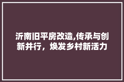 沂南旧平房改造,传承与创新并行，焕发乡村新活力 墙面装饰