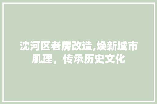 沈河区老房改造,焕新城市肌理，传承历史文化