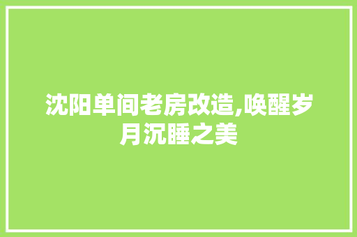 沈阳单间老房改造,唤醒岁月沉睡之美