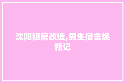 沈阳租房改造,男生宿舍焕新记