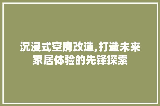沉浸式空房改造,打造未来家居体验的先锋探索