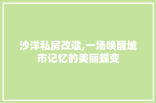 沙洋私房改造,一场唤醒城市记忆的美丽蝶变