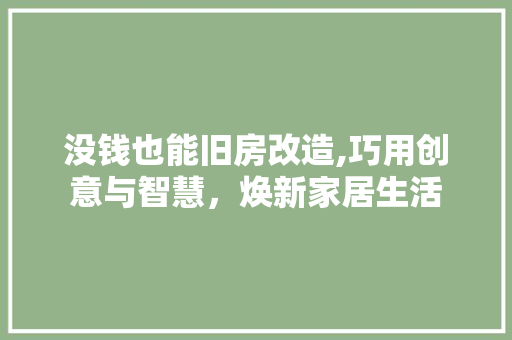 没钱也能旧房改造,巧用创意与智慧，焕新家居生活 建筑设计
