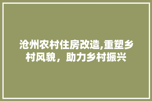 沧州农村住房改造,重塑乡村风貌，助力乡村振兴 隔断设计