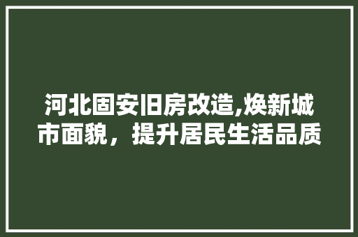 河北固安旧房改造,焕新城市面貌，提升居民生活品质