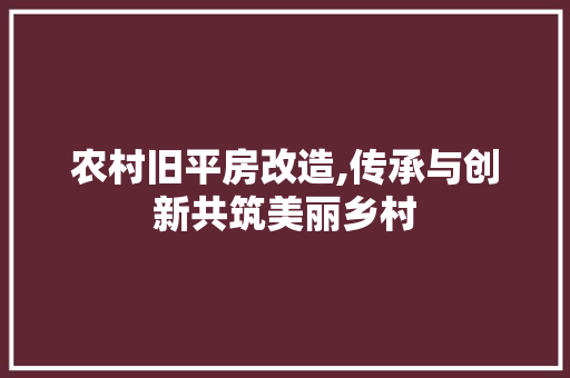 农村旧平房改造,传承与创新共筑美丽乡村