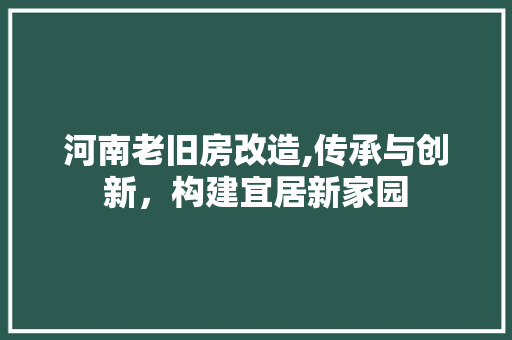 河南老旧房改造,传承与创新，构建宜居新家园