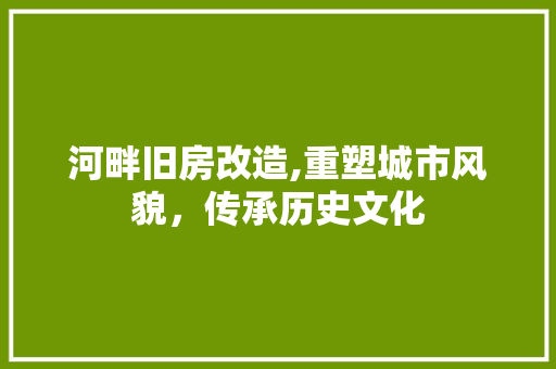 河畔旧房改造,重塑城市风貌，传承历史文化 墙面装饰