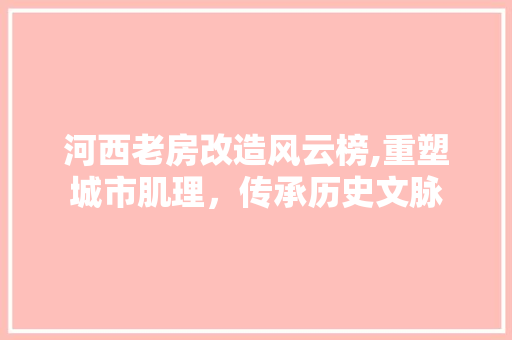 河西老房改造风云榜,重塑城市肌理，传承历史文脉
