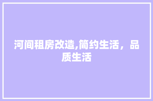 河间租房改造,简约生活，品质生活 地面装修