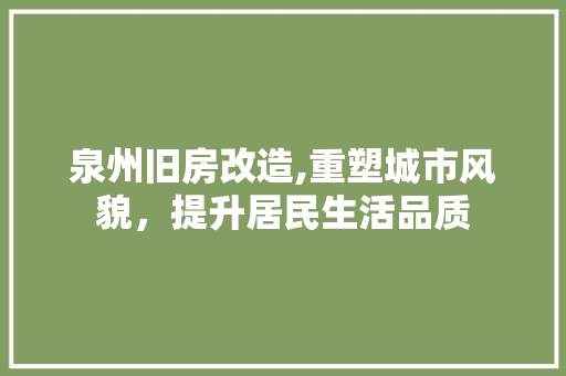 泉州旧房改造,重塑城市风貌，提升居民生活品质 装修材料