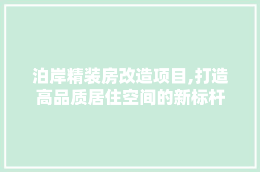 泊岸精装房改造项目,打造高品质居住空间的新标杆