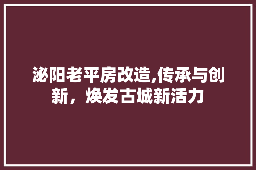 泌阳老平房改造,传承与创新，焕发古城新活力